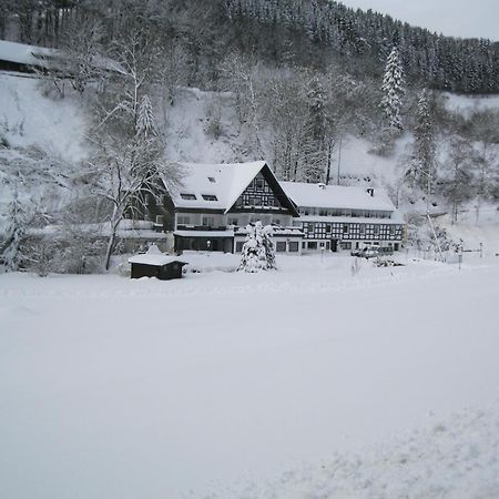 Tommes Gaestehaus Zur Muehle Schmallenberg Extérieur photo