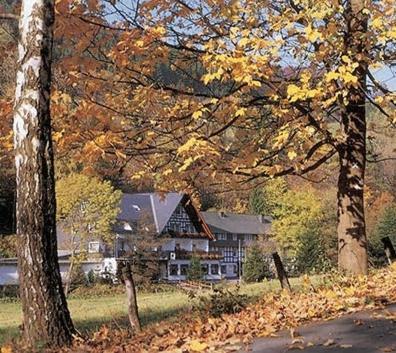 Tommes Gaestehaus Zur Muehle Schmallenberg Extérieur photo